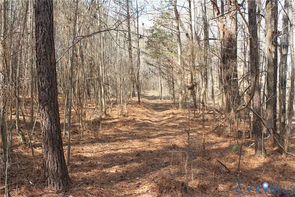 $630,000 | 1119 West Danville Street, South Hill, VA 23970