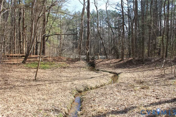 $630,000 | 1119 West Danville Street, South Hill, VA 23970