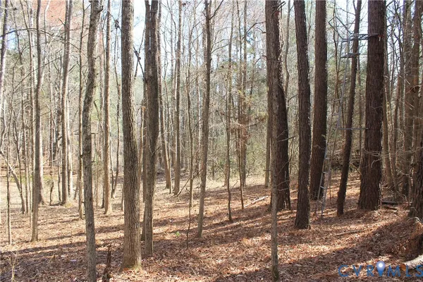 $630,000 | 1119 West Danville Street, South Hill, VA 23970