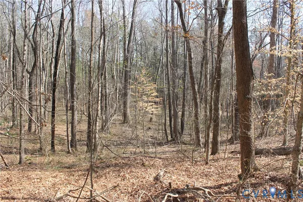 $630,000 | 1119 West Danville Street, South Hill, VA 23970