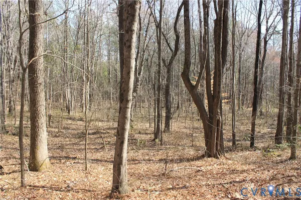 $630,000 | 1119 West Danville Street, South Hill, VA 23970