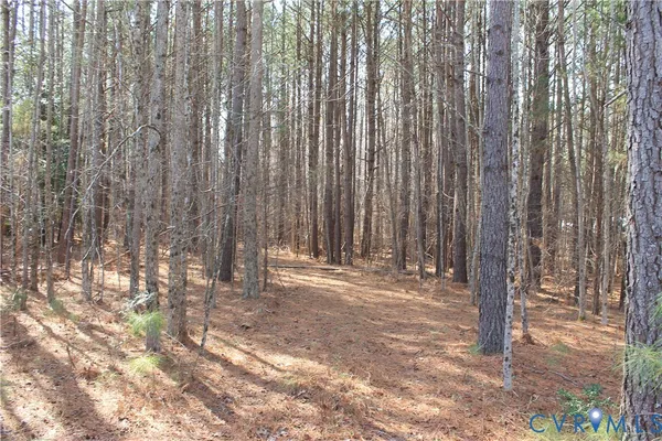 $630,000 | 1119 West Danville Street, South Hill, VA 23970