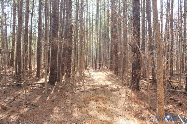 $630,000 | 1119 West Danville Street, South Hill, VA 23970