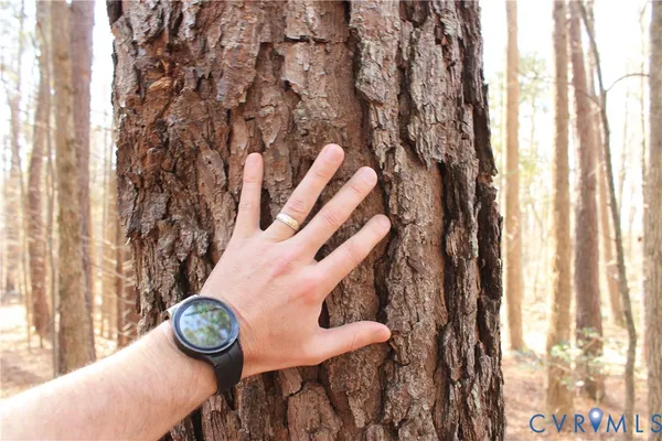 $630,000 | 1119 West Danville Street, South Hill, VA 23970