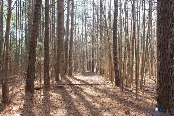 $630,000 | 1119 West Danville Street, South Hill, VA 23970