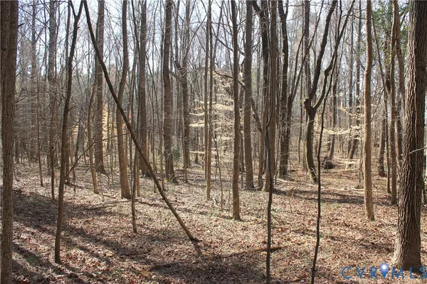 $630,000 | 1119 West Danville Street, South Hill, VA 23970