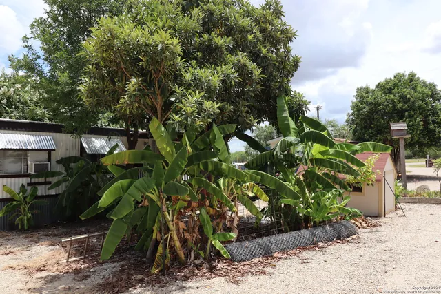 a backyard of a house with lots of green space