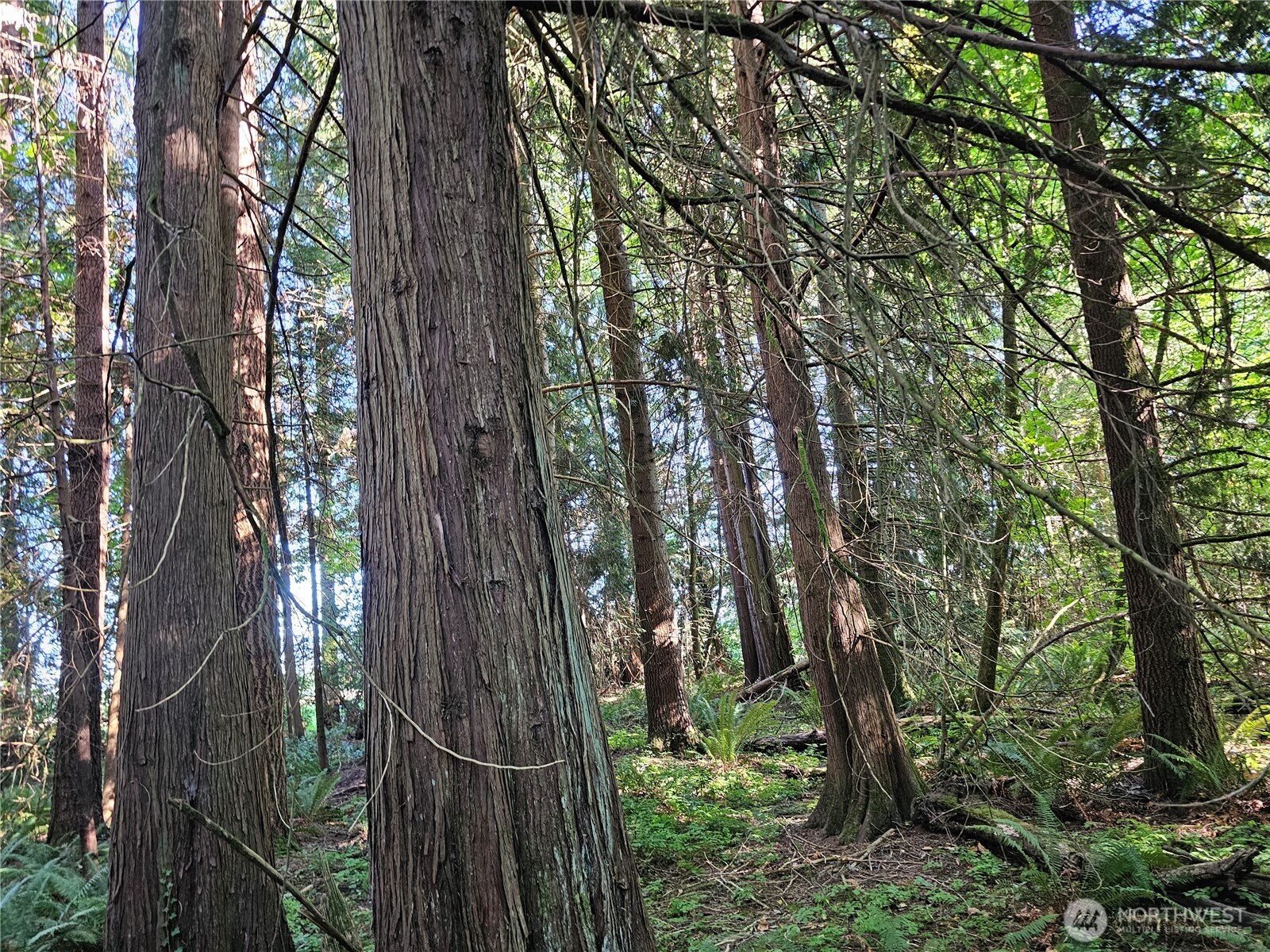12624 183rd Avenue Southwest Rochester, WA 98579 - Photo 12 of 22