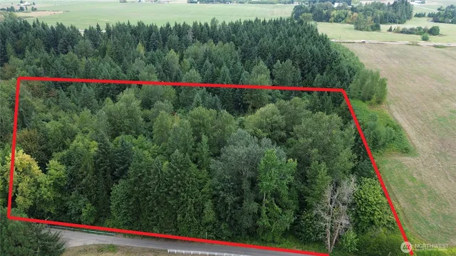 a view of a field with next to trees and a wooden fence