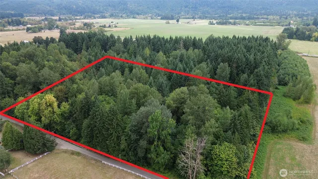 a view of a park with large trees and plants