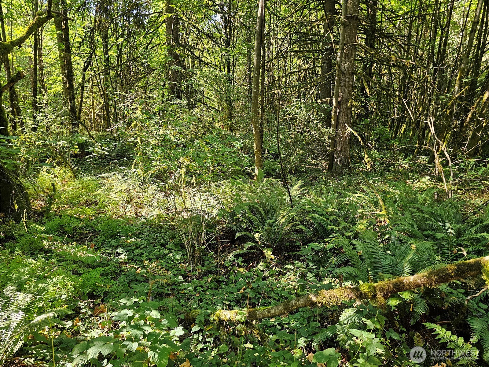 12624 183rd Avenue Southwest Rochester, WA 98579 - Photo 18 of 22