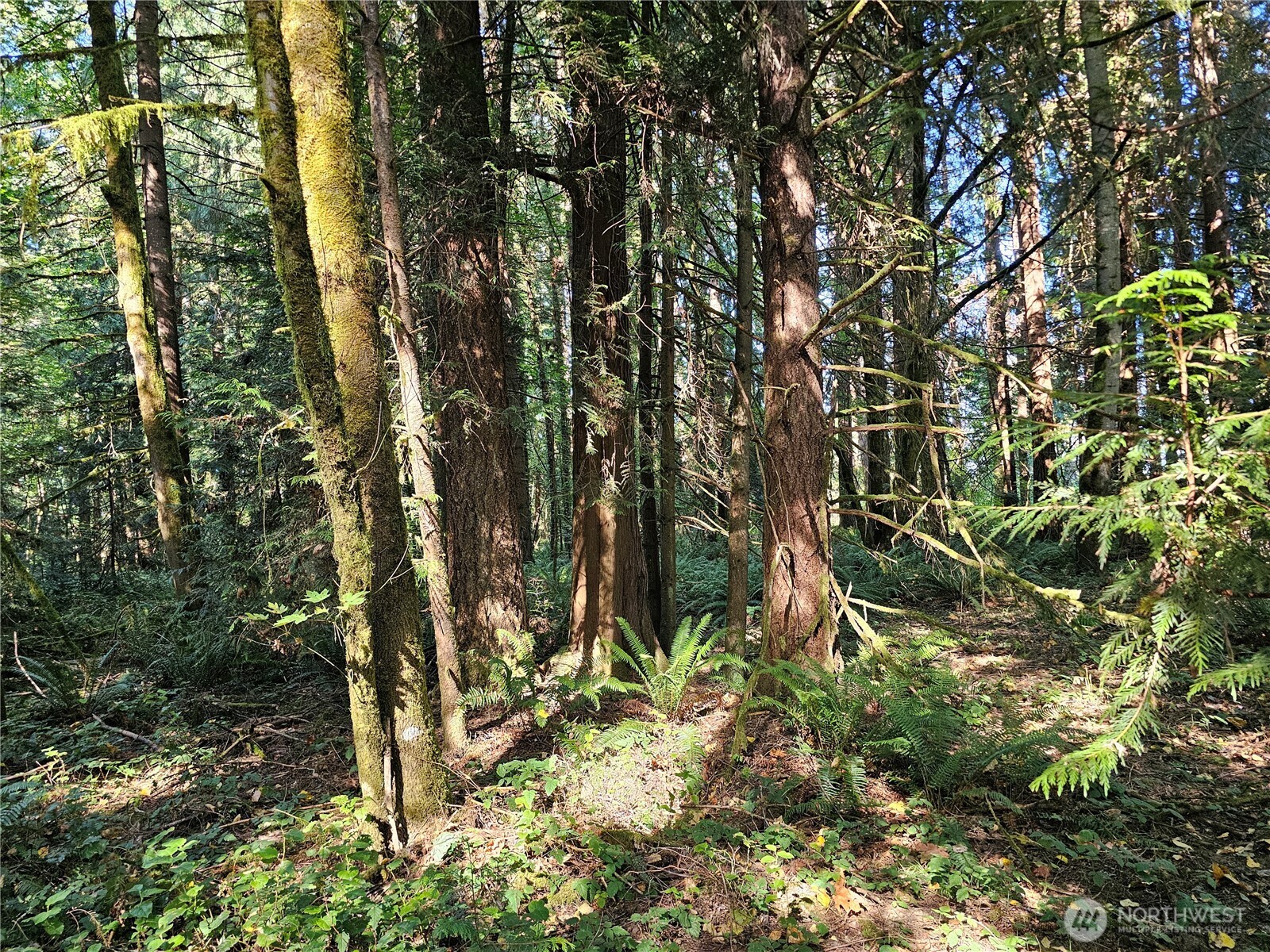 12624 183rd Avenue Southwest Rochester, WA 98579 - Photo 19 of 22