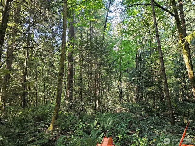 a view of outdoor space and a yard