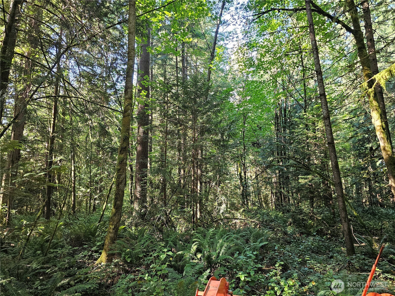 12624 183rd Avenue Southwest Rochester, WA 98579 - Photo 20 of 22