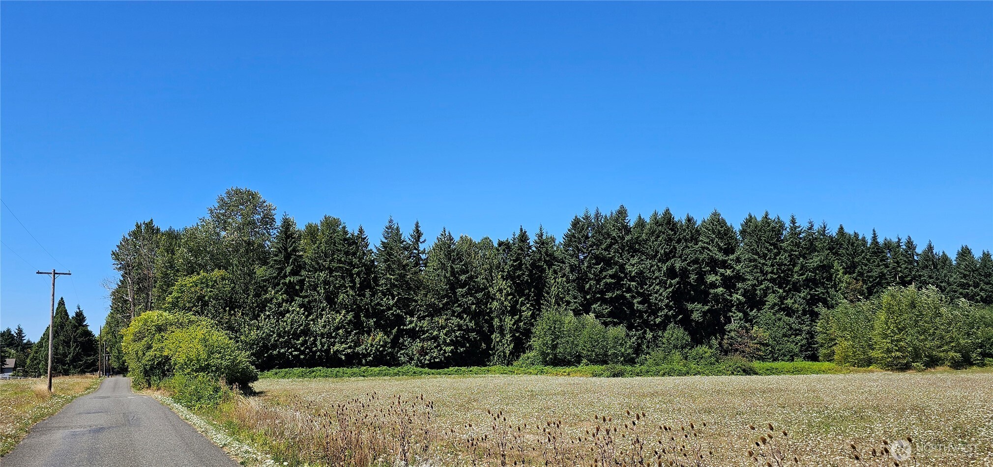 12624 183rd Avenue Southwest Rochester, WA 98579 - Photo 2 of 22