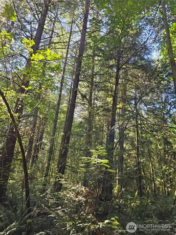 $174,000 | 12624 183rd Avenue Southwest, Rochester, WA 98579