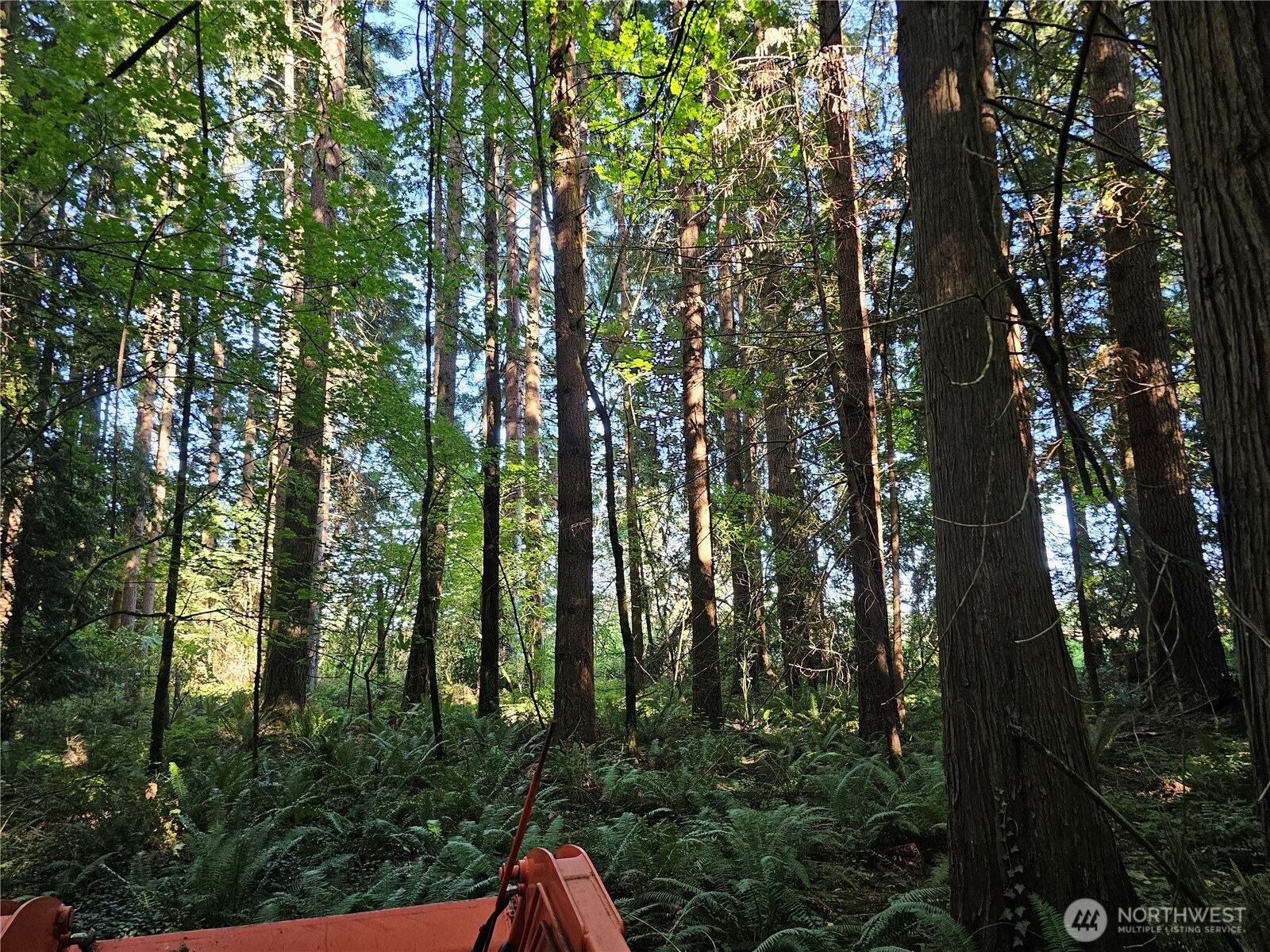 12624 183rd Avenue Southwest Rochester, WA 98579 - Photo 22 of 22