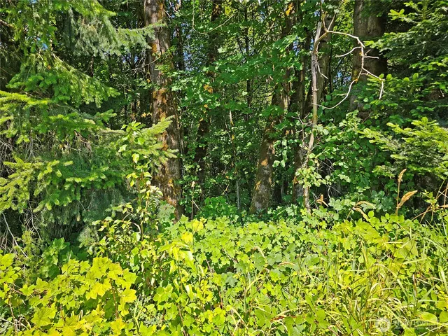 a view of a plant with a plant