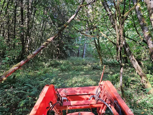 a view of yard from deck