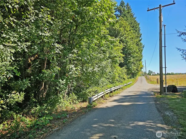 a view of a road from a yard