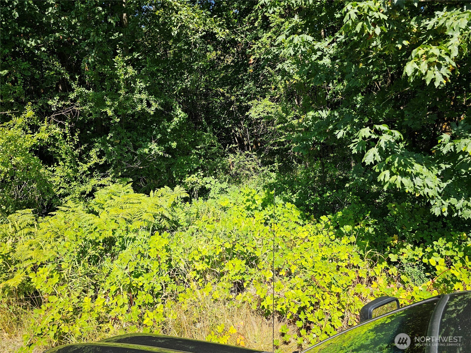 12624 183rd Avenue Southwest Rochester, WA 98579 - Photo 10 of 22