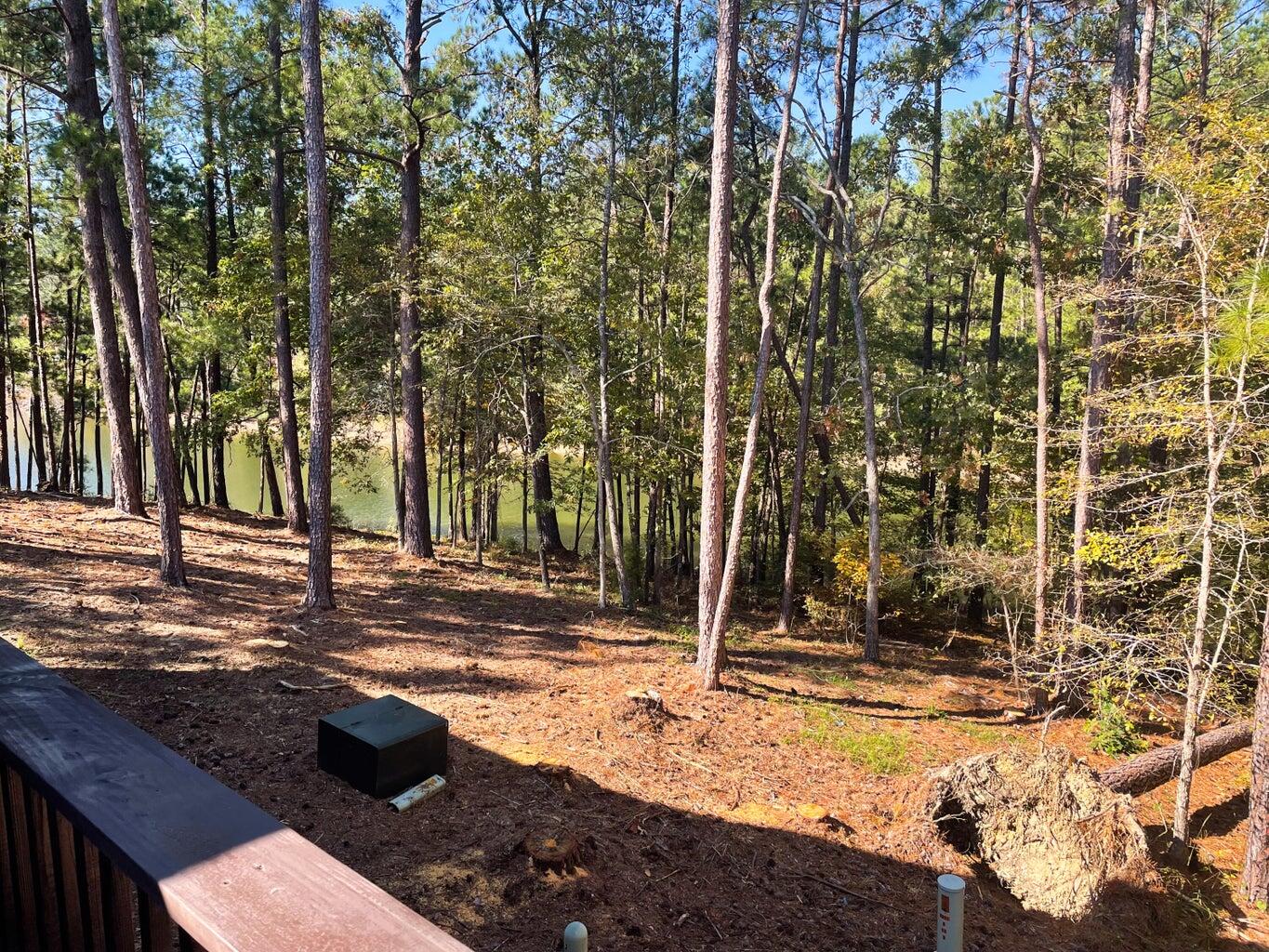 317 Coastal Cove McCormick, SC 29835 - Photo 15 of 19 CC12