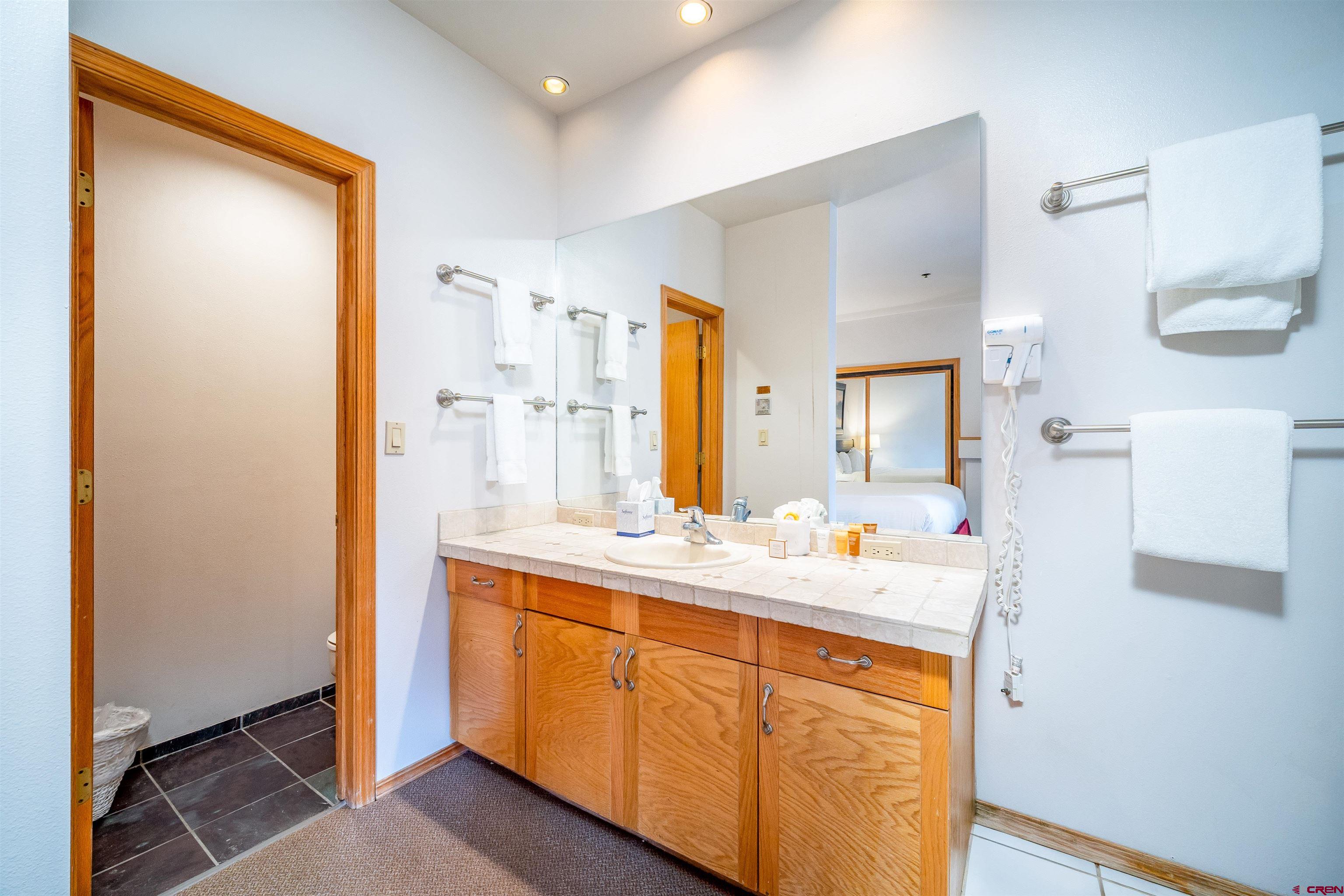 71 East Needles Road, Unit 331 Durango, CO 81301 - Photo 17 of 40 a bathroom with a sink a mirror and a shower