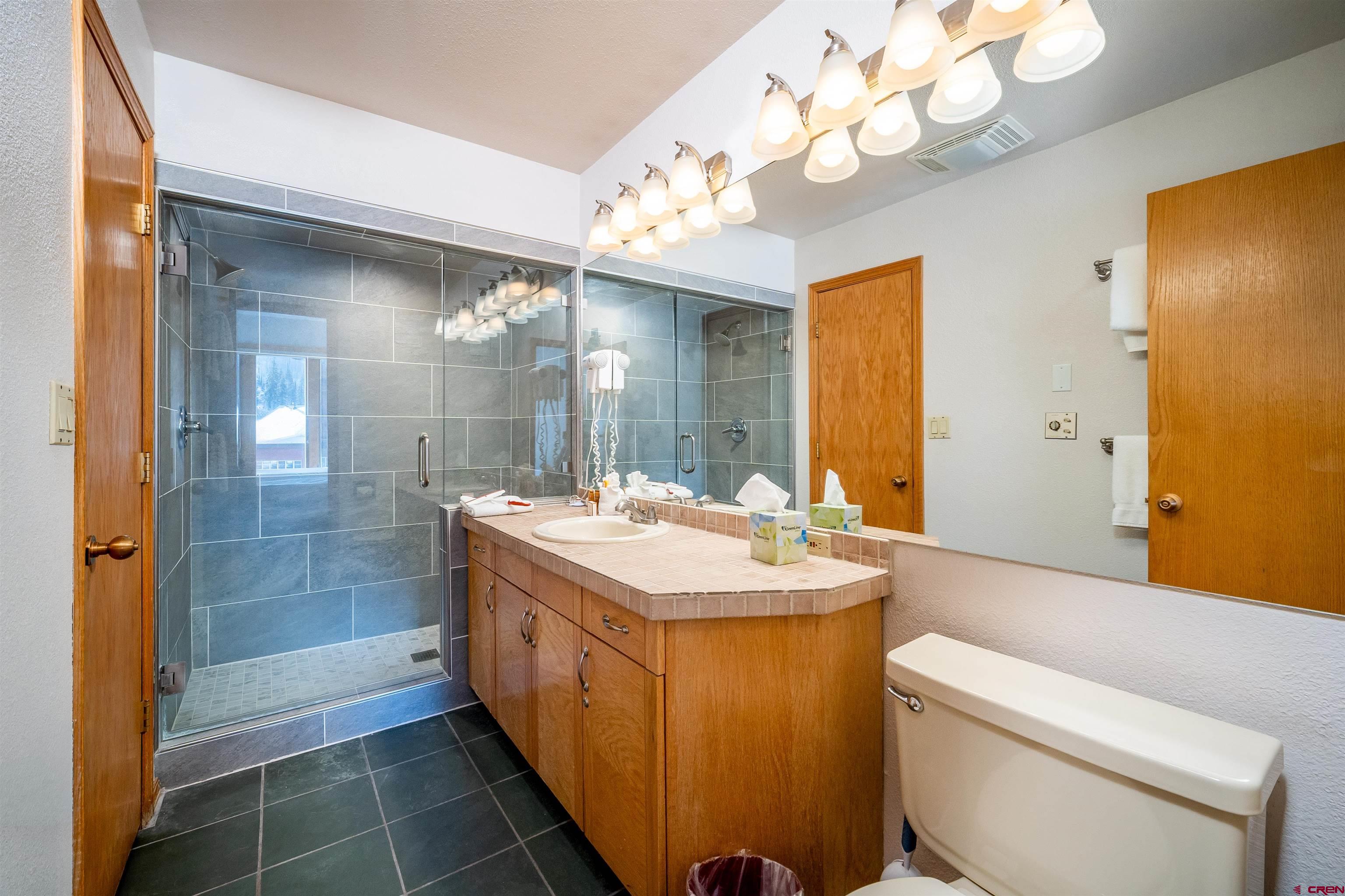 71 East Needles Road, Unit 331 Durango, CO 81301 - Photo 24 of 40 a bathroom with a sink a toilet and shower