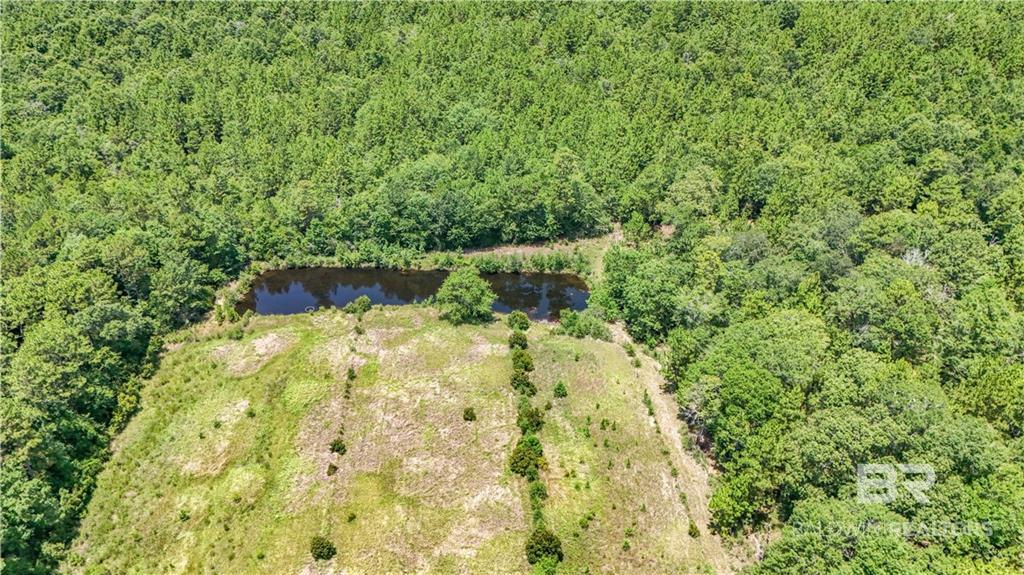 13151 Roberts Road Chunchula, AL 36521 - Photo 5 of 52 Gallery Image 5