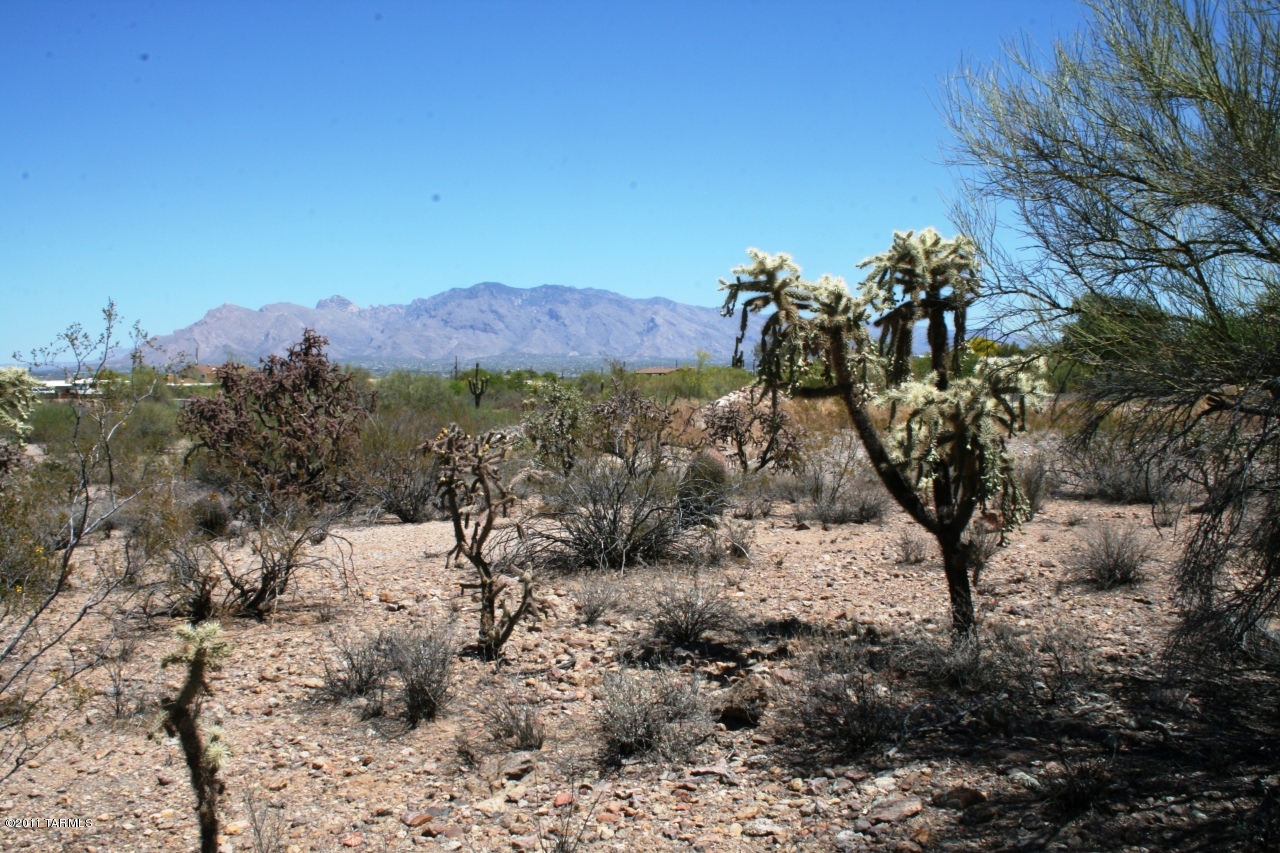 0 West Morgan Road Tucson, AZ 85745 - Photo 5 of 10