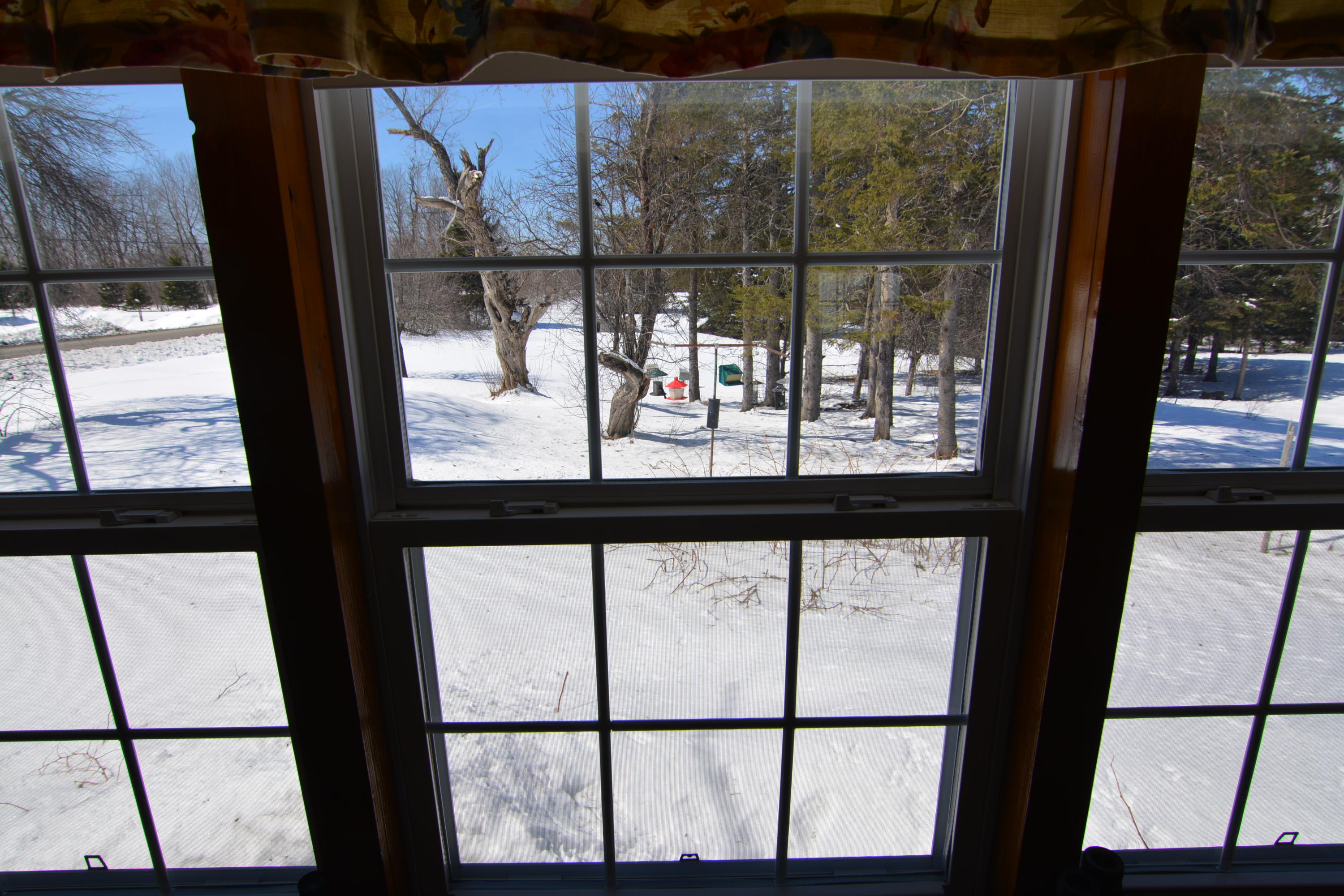 124 Snow Road Bridgewater, ME 04735 - Photo 50 of 56 DSC_0073