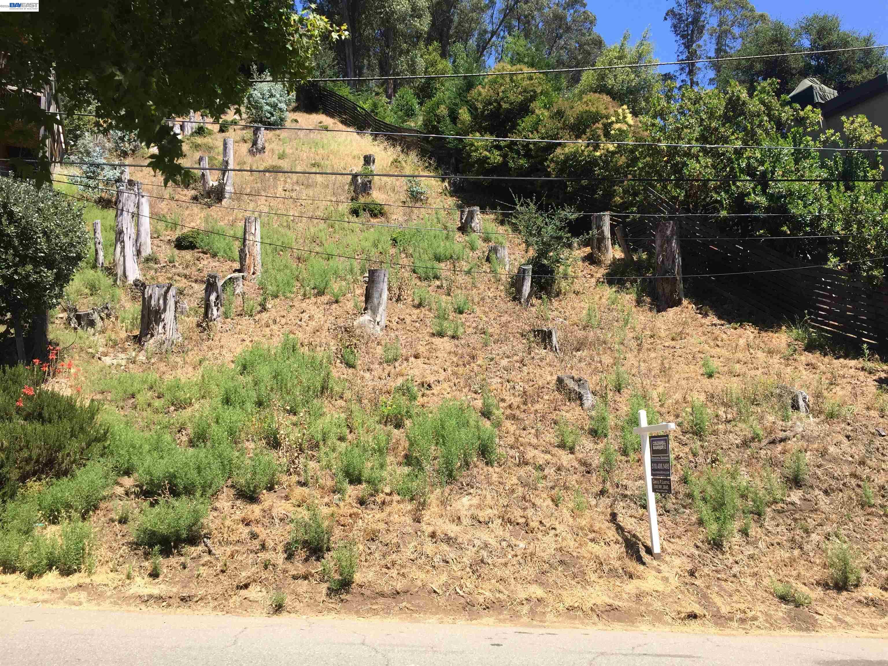 6776 Pinehaven Road Oakland, CA 94611 - Photo 5 of 7