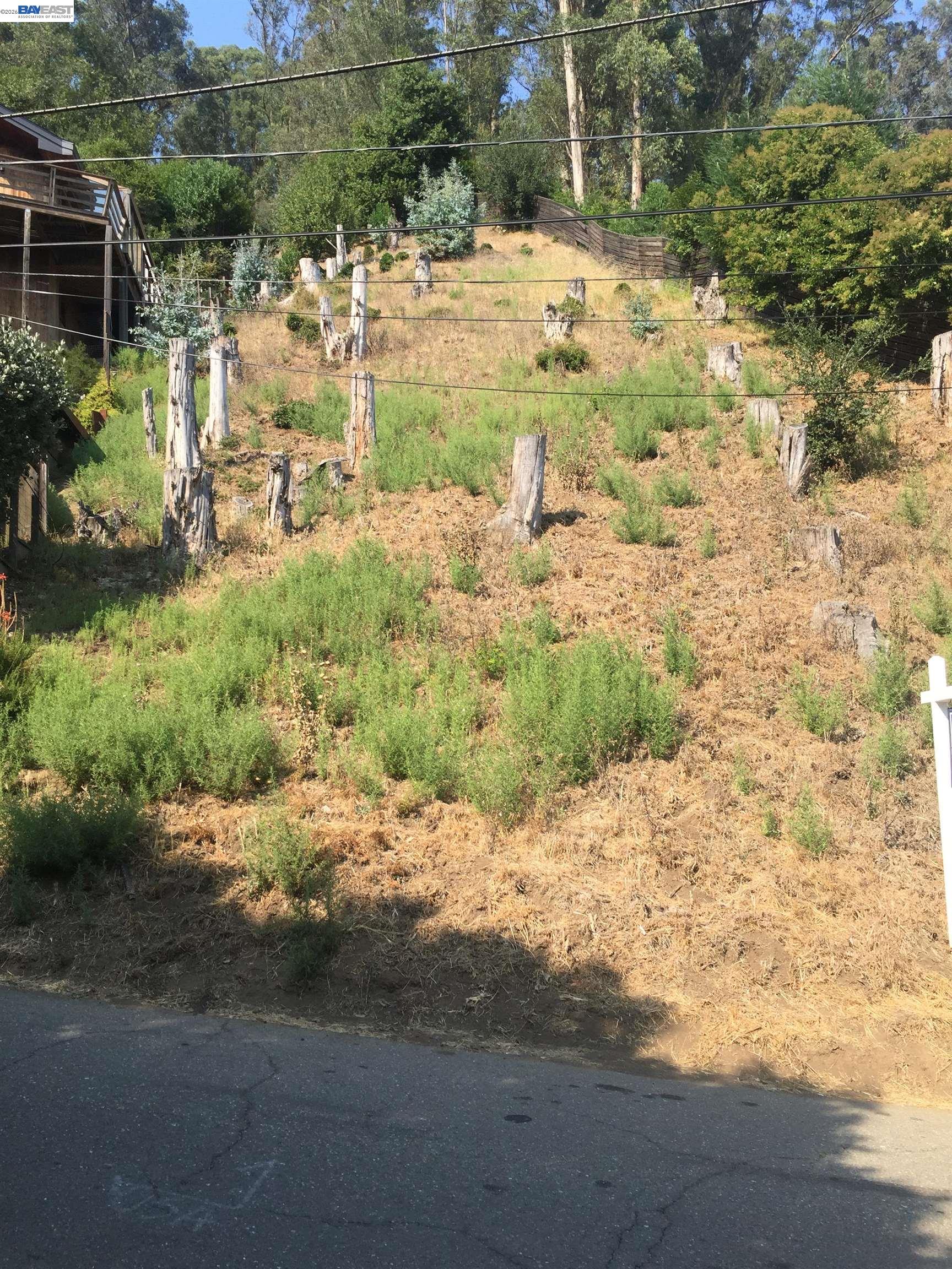 6776 Pinehaven Road Oakland, CA 94611 - Photo 7 of 7