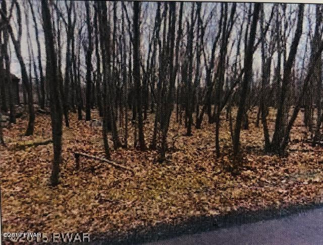 118 Ridgeway Drive Hawley, PA 18428 - Photo 1 of 1