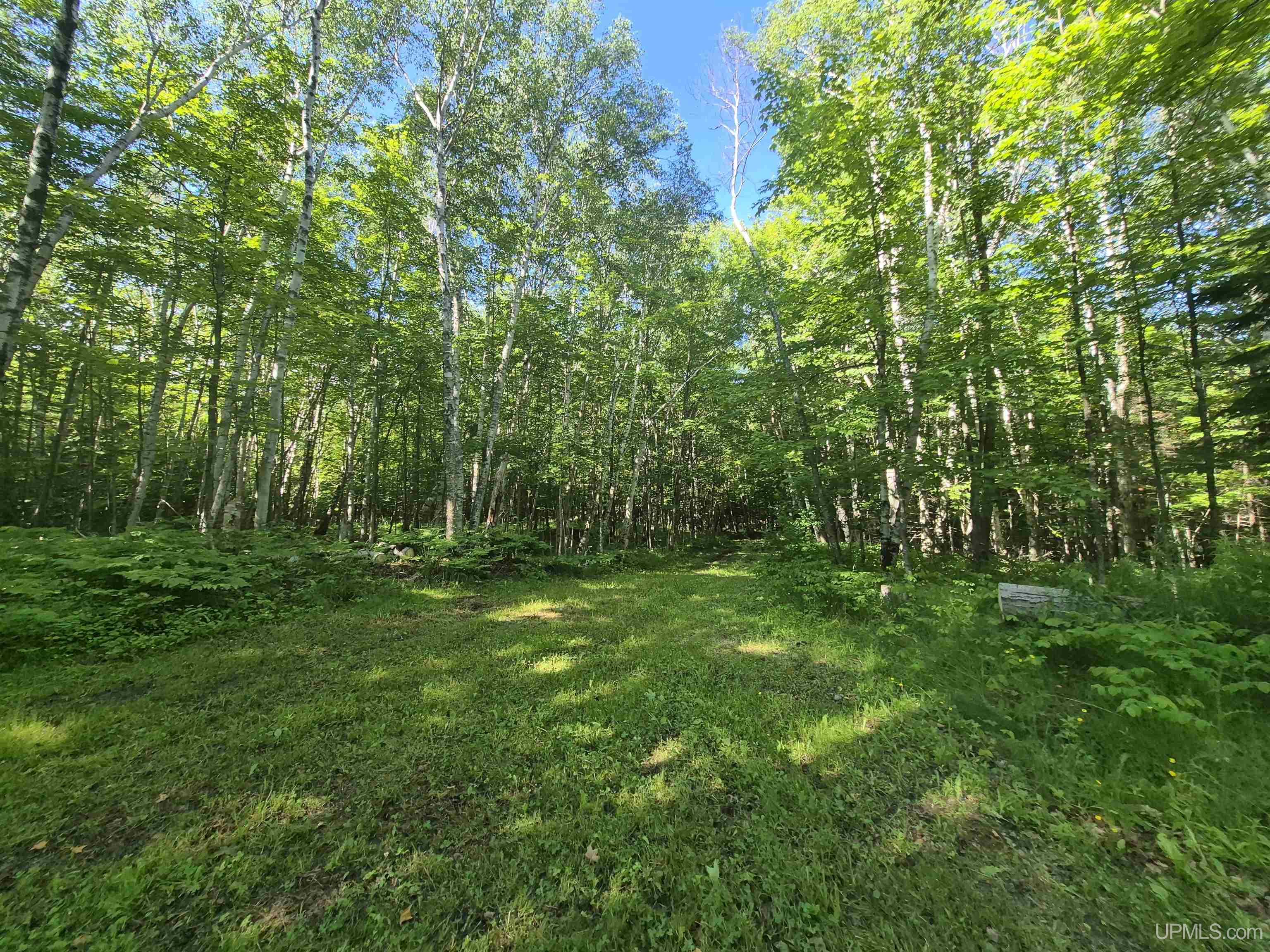 8-acres Nestor Road Munising, MI 49862 - Photo 18 of 43