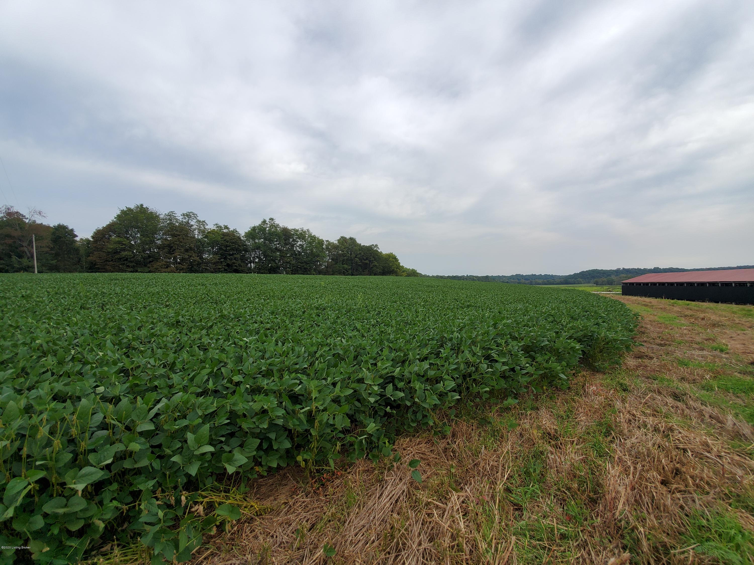 1500 Haley Road Shelbyville, KY 40065 - Photo 4 of 6 Haley 5 acre two