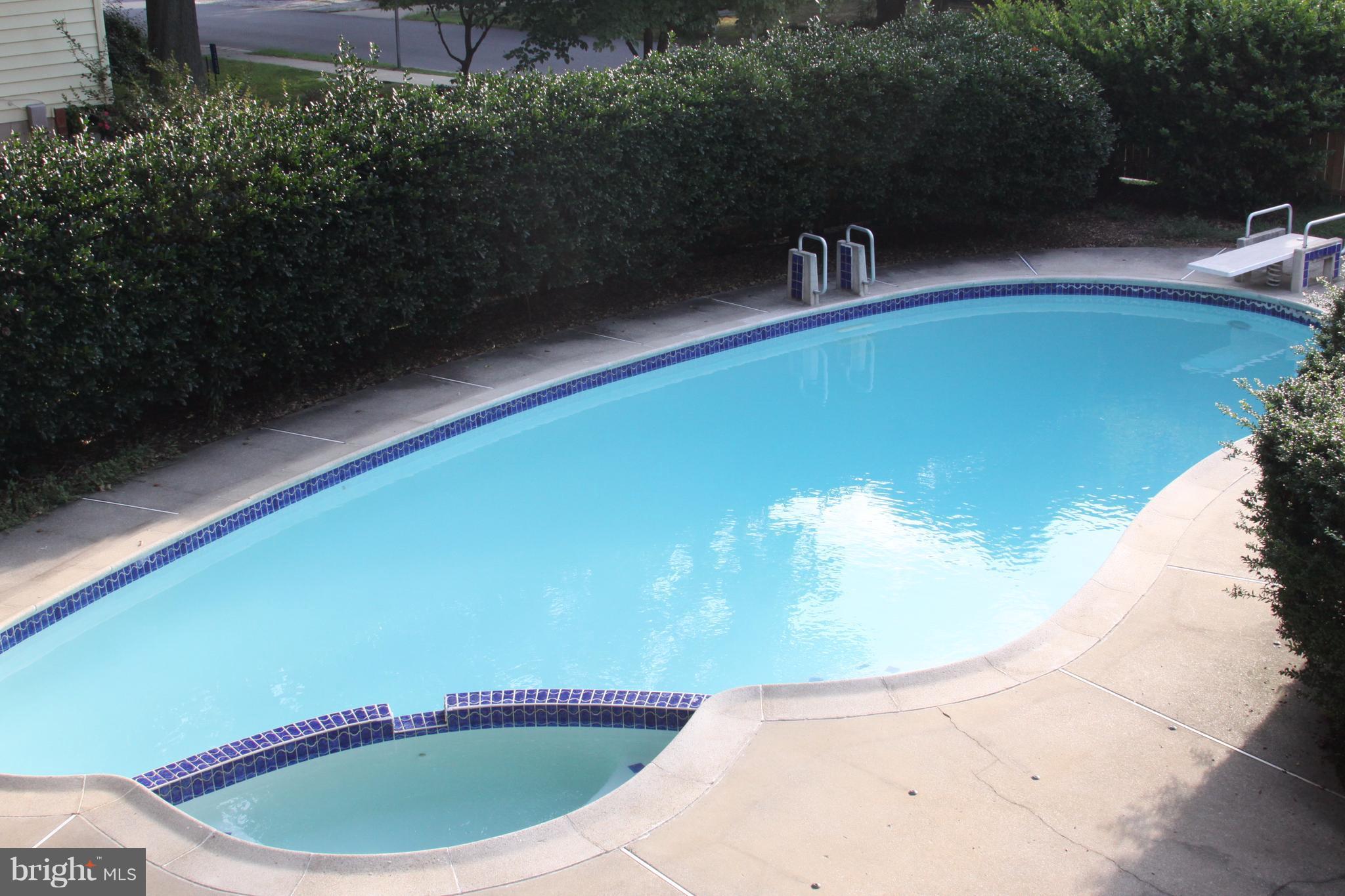 918 Blue Ridge Drive Annapolis, MD 21409 - Photo 3 of 30 Patio, in-ground pool and spa