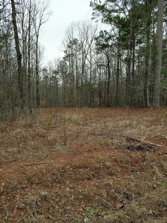 1585 North Ola Road, McDonough, GA 30252 Compass