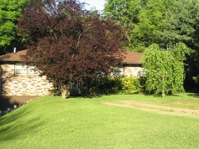 15703 Budd Road Battle Creek, MI 49017 - Photo 3 of 19 Additional Photo