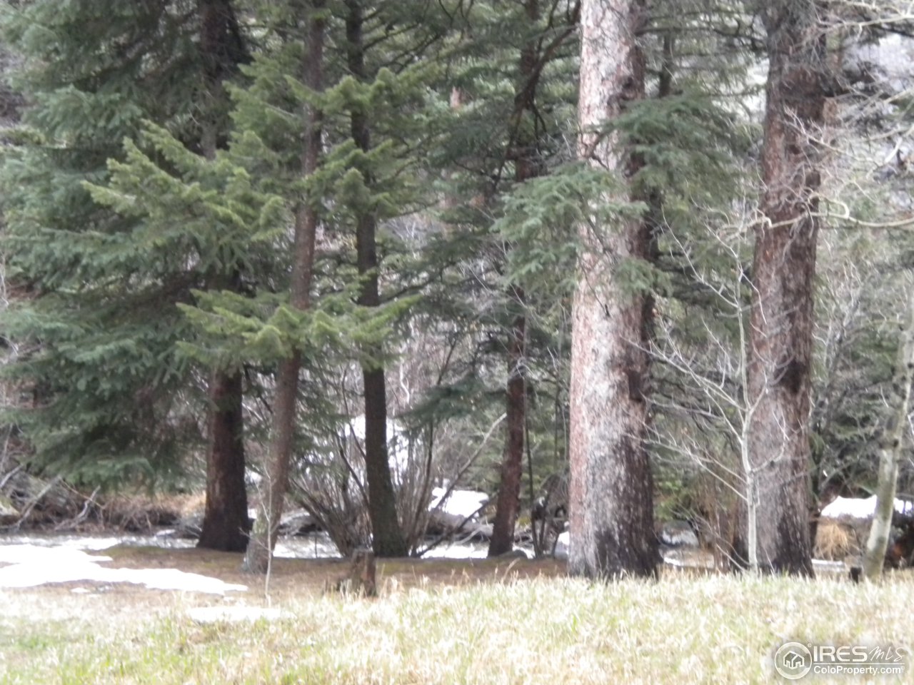 2834 Riverside Drive Lyons, CO 80540 - Photo 13 of 13 a view of a covered with snow in the background