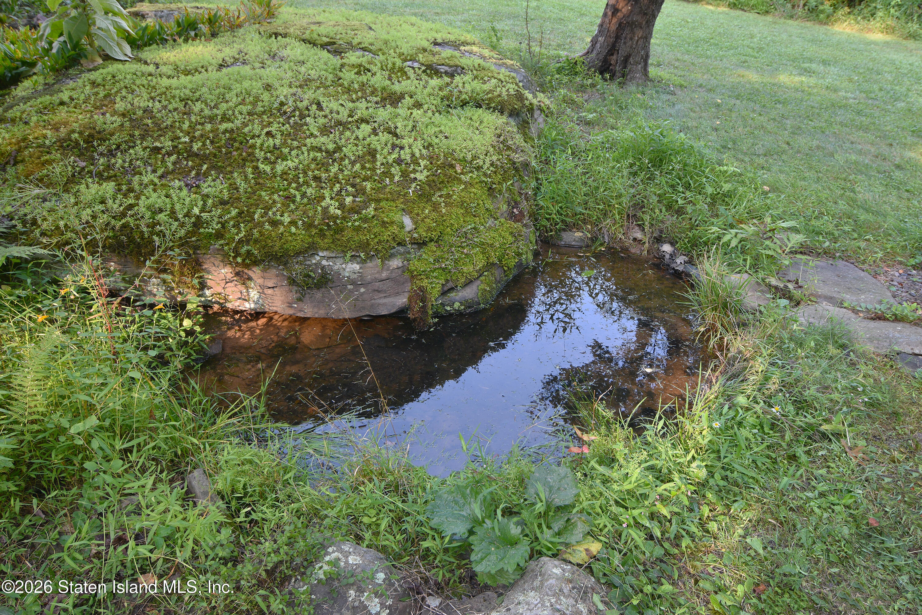 68 Garfield Road Phoenicia, NY 12464 - Photo 34 of 36 1 Frog pond