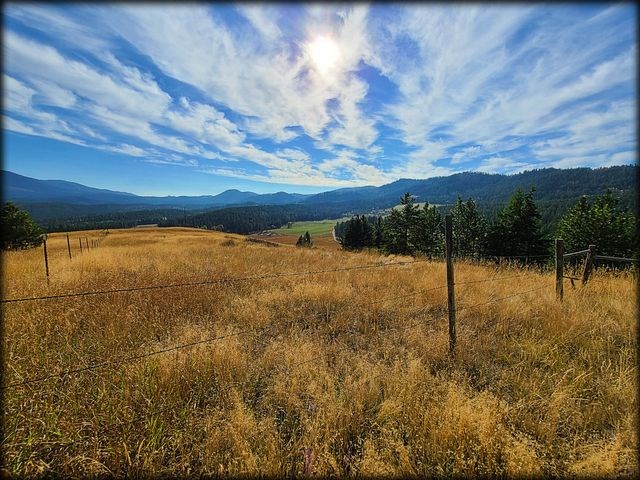 2550 Grimm Road Addy, WA 99101 - Photo 2 of 19