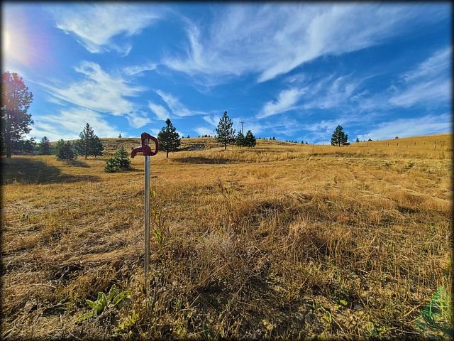 2550 Grimm Road Addy, WA 99101 - Photo 12 of 19