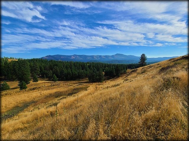 2550 Grimm Road Addy, WA 99101 - Photo 15 of 19