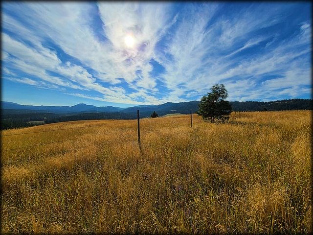 2550 Grimm Road Addy, WA 99101 - Photo 16 of 19