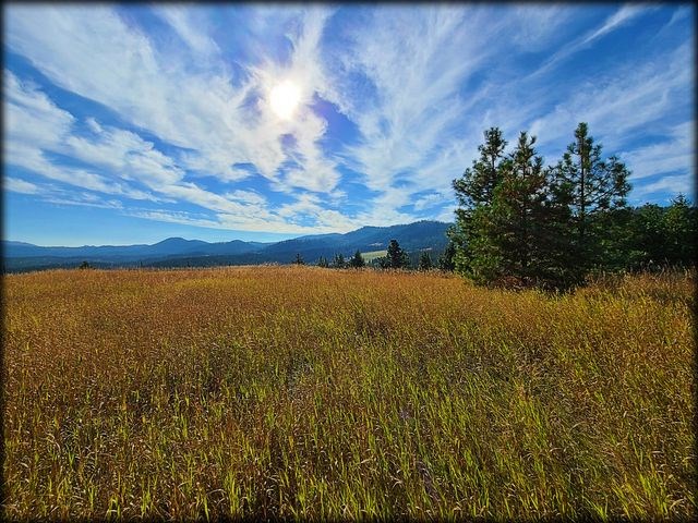 2550 Grimm Road Addy, WA 99101 - Photo 17 of 19