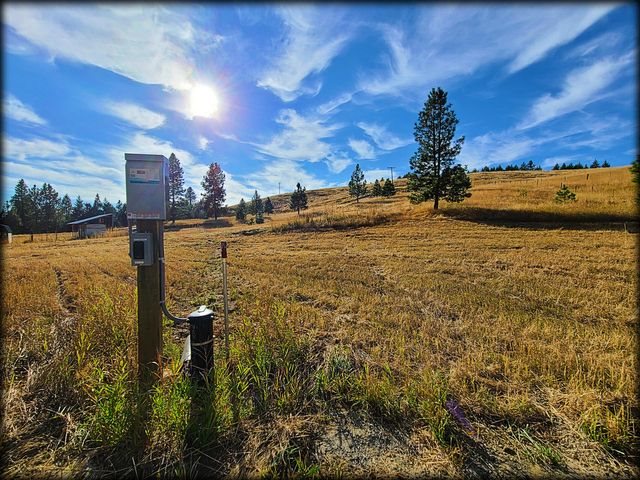 2550 Grimm Road Addy, WA 99101 - Photo 6 of 19