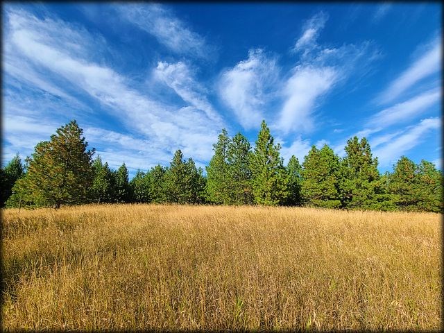 2550 Grimm Road Addy, WA 99101 - Photo 8 of 19
