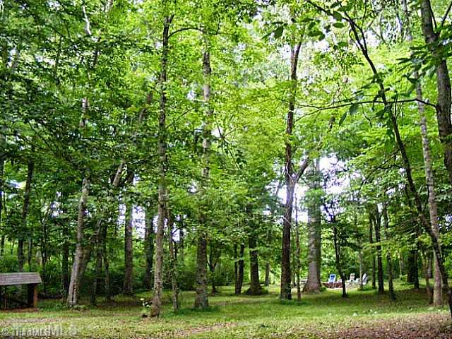 1066 Greenfield Road Walnut Cove, NC 27052 - Photo 5 of 16 Land.
