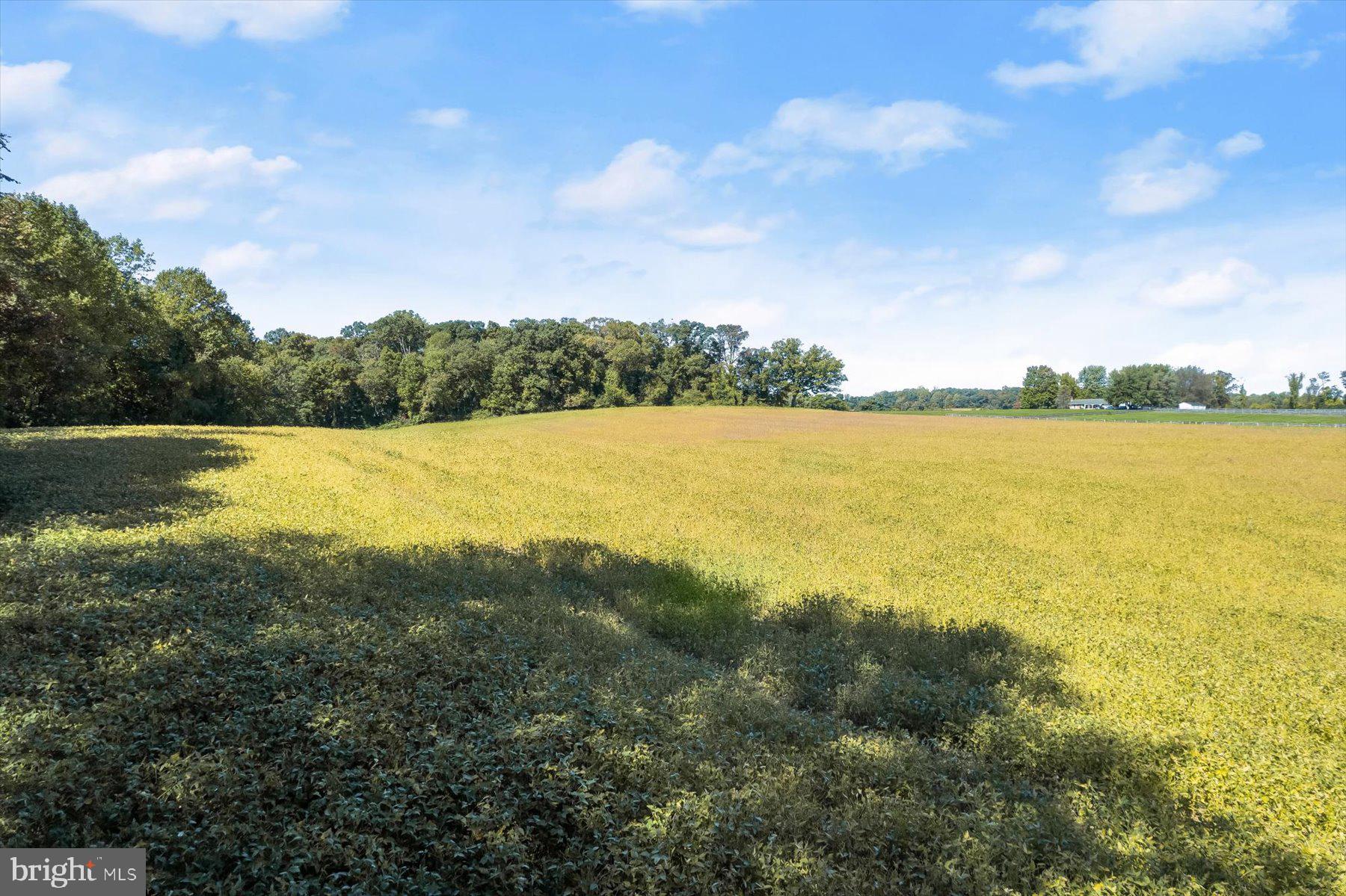 Annapolis Rock Road Woodbine, MD 21797 - Photo 18 of 22 Ground View